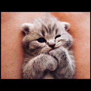 Meet your Posher, Alessia